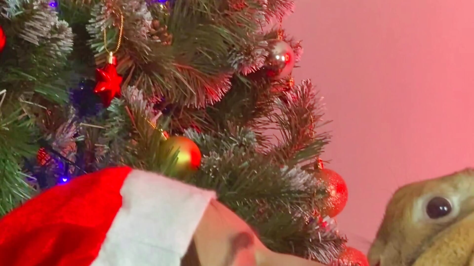 Christmas time