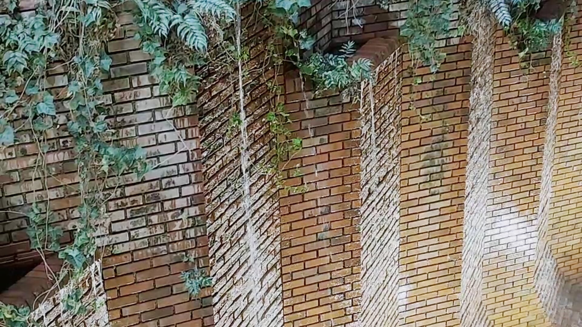 滝ですかね（笑  ） - 視頻由 yukayuka_v 主播提供