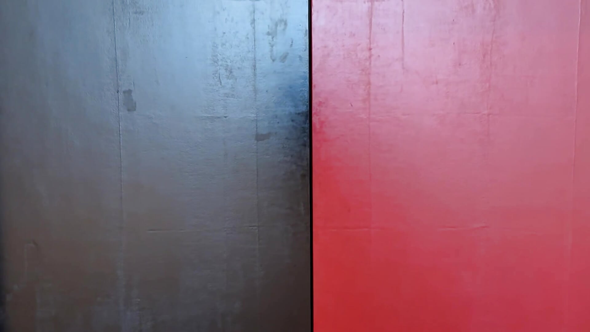 🖐️ - -victory-fox 캠 모델의 동영상