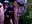 in a parking lot I join two guys fucking in the hedge with super big balls and beautiful cocks - video by Cruising_Land cam model