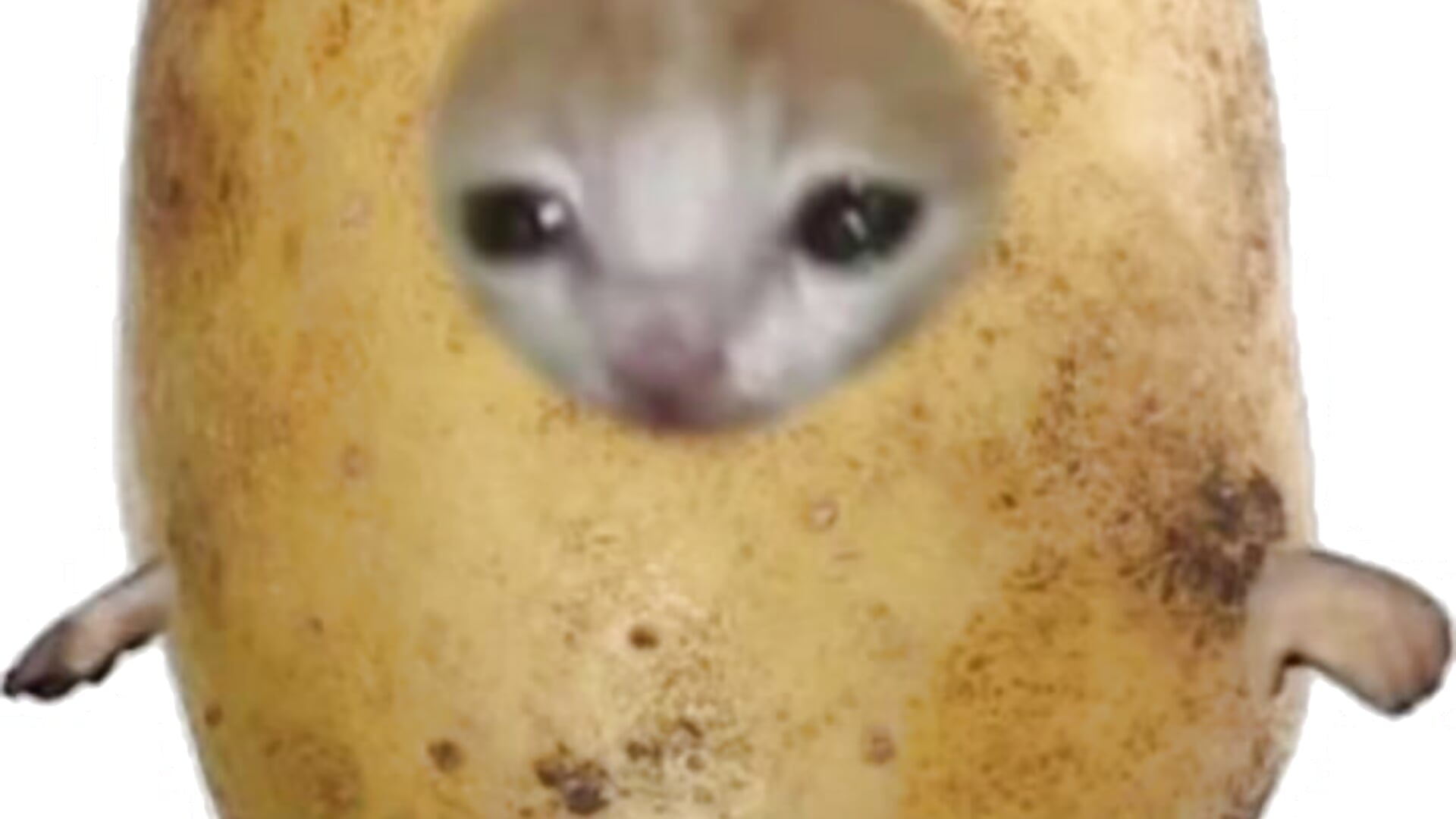 2026🥔🍅 - Ira_90 캠 모델의 동영상