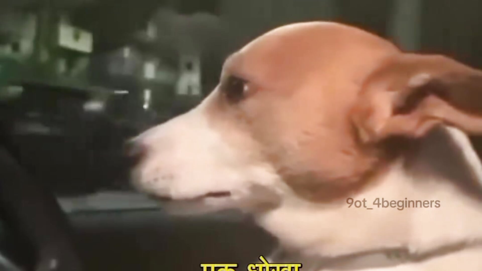 🥹💗 - Ira_90 캠 모델의 동영상