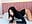 blowjob - video by MarianaBranzz cam model