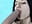 Blowjob from Niki. delicate, perfect for Christmas - video by _Nika_Kik cam model