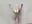 VID_305700303_195655_409 - titiasexy 님의 동영상
