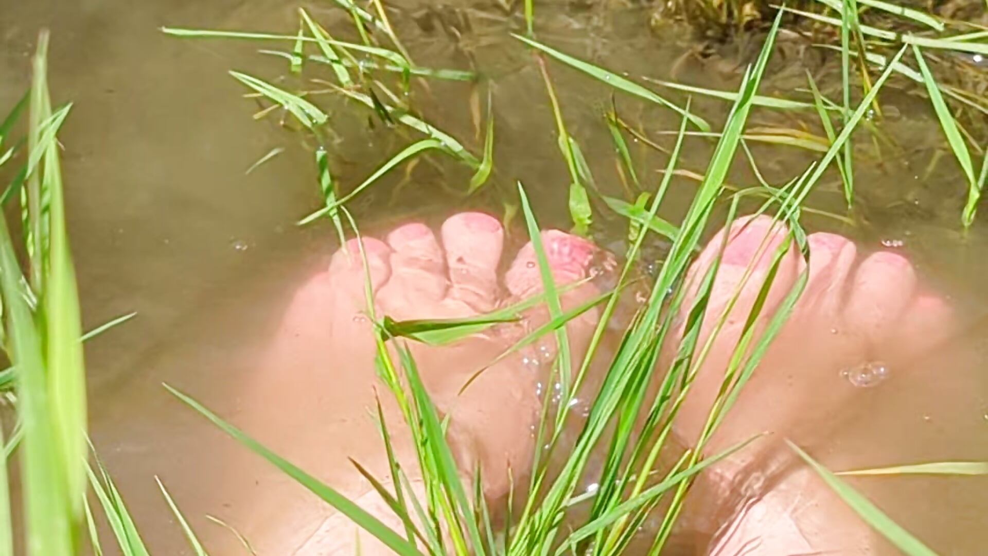 Cooling off on a hot summer day. - video by Morgan_Shipley cam model