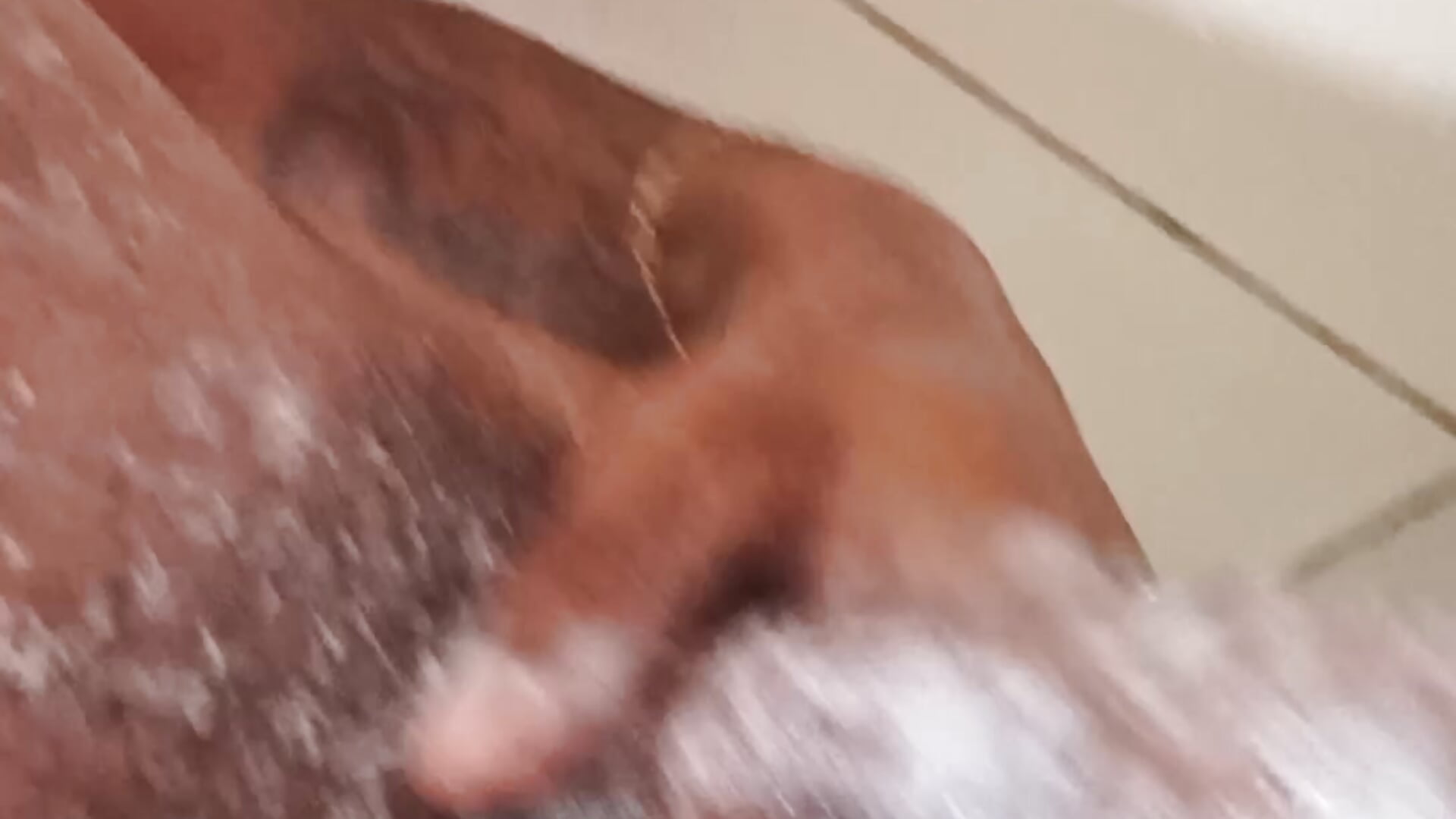 VID_168775049139F - video fabiusR kameramallilta