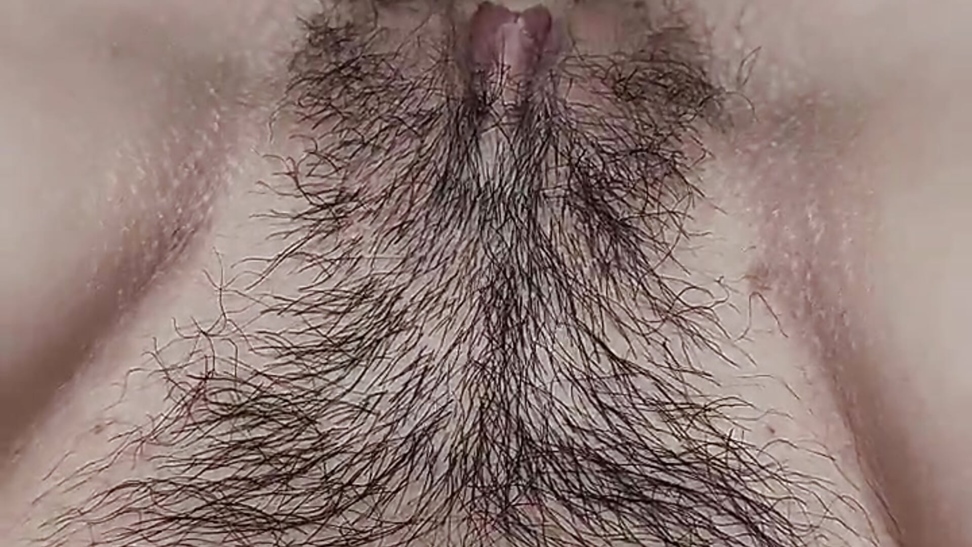 修毛后After trimming