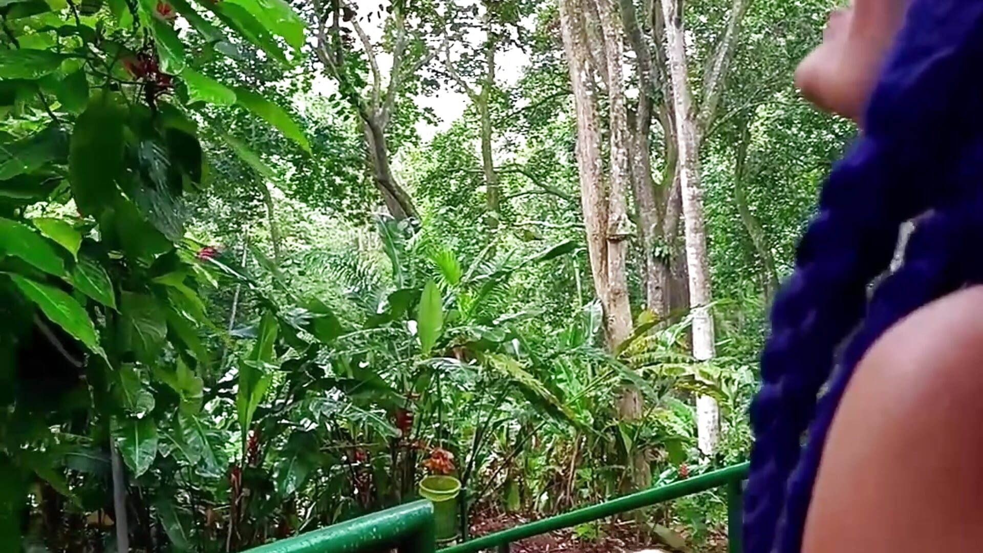 Rain 🌧️, adventure 🥾, walk 🌲, peace 🕊️, tranquility 🍃