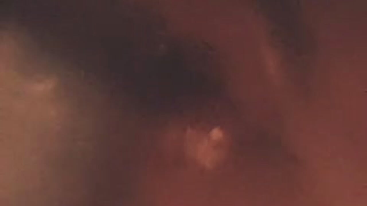 Dildo in mouth play - video by shykitbbw cam model