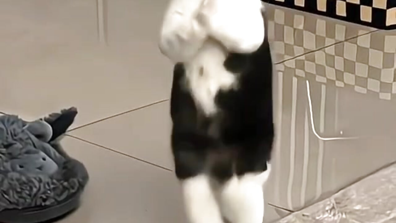 Sexy Dancer