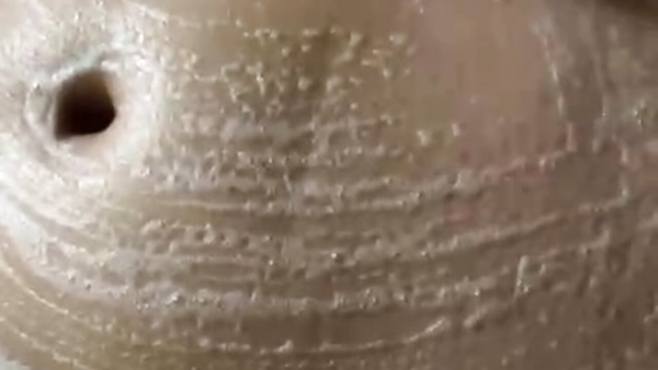 My wet body