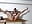 Dildofuck in the Workshop from my Neighbour!!:O - video by Sugarlina cam model