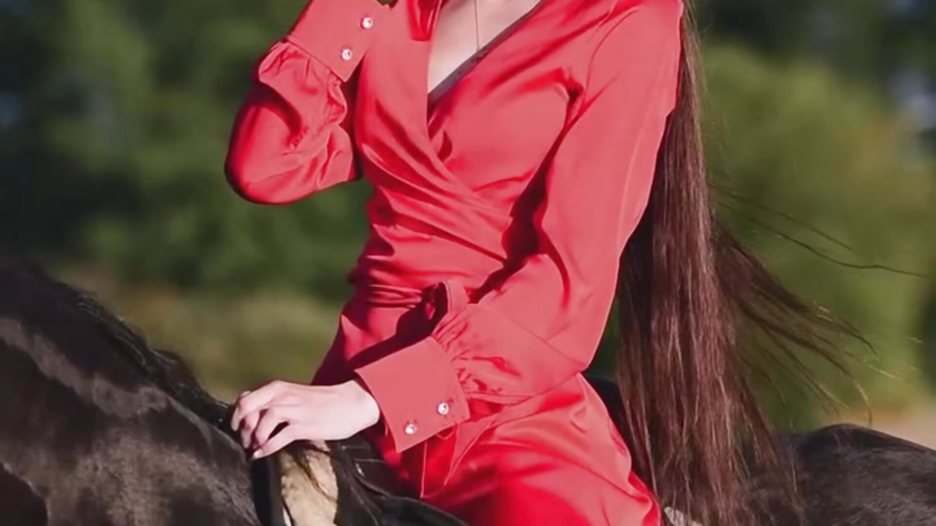 horse