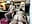 threesome, fucking Mikaella`s pussy and Cindy`s pussy - theorder-ofladys 的视频