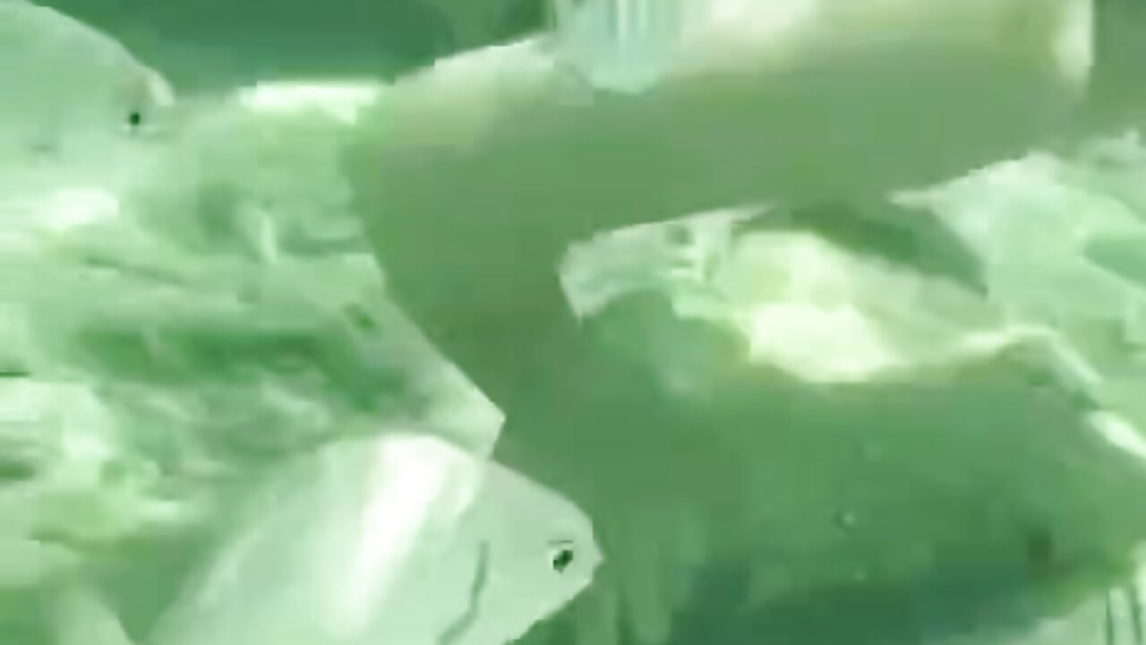 Look My Pussy in The Ocean ❤
