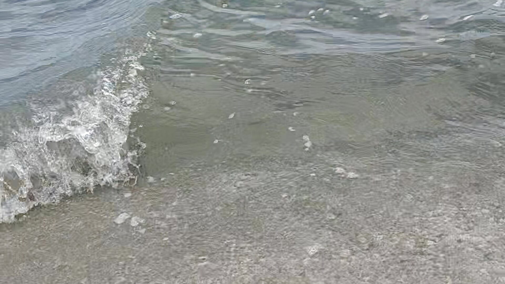 20260103_121557 - Lady_lua主播的视频