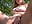 Fingering my pussy in the park on our picnic 🧺 - Princess_jasss 캠 모델의 동영상