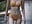 Bikini 🤫 - video by _7Eleven_ cam model