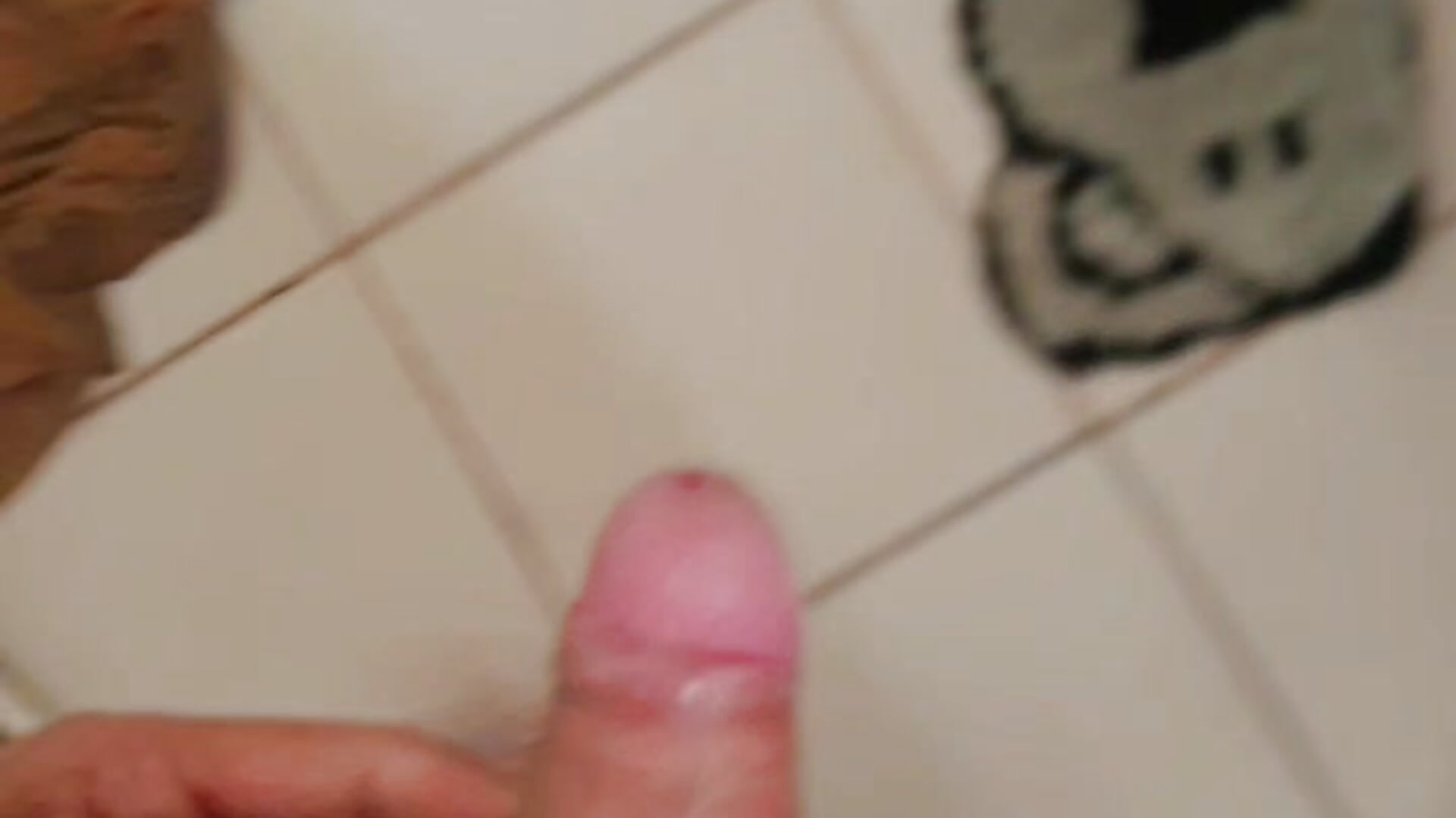O meu pênis - video by xxvideos13 cam model