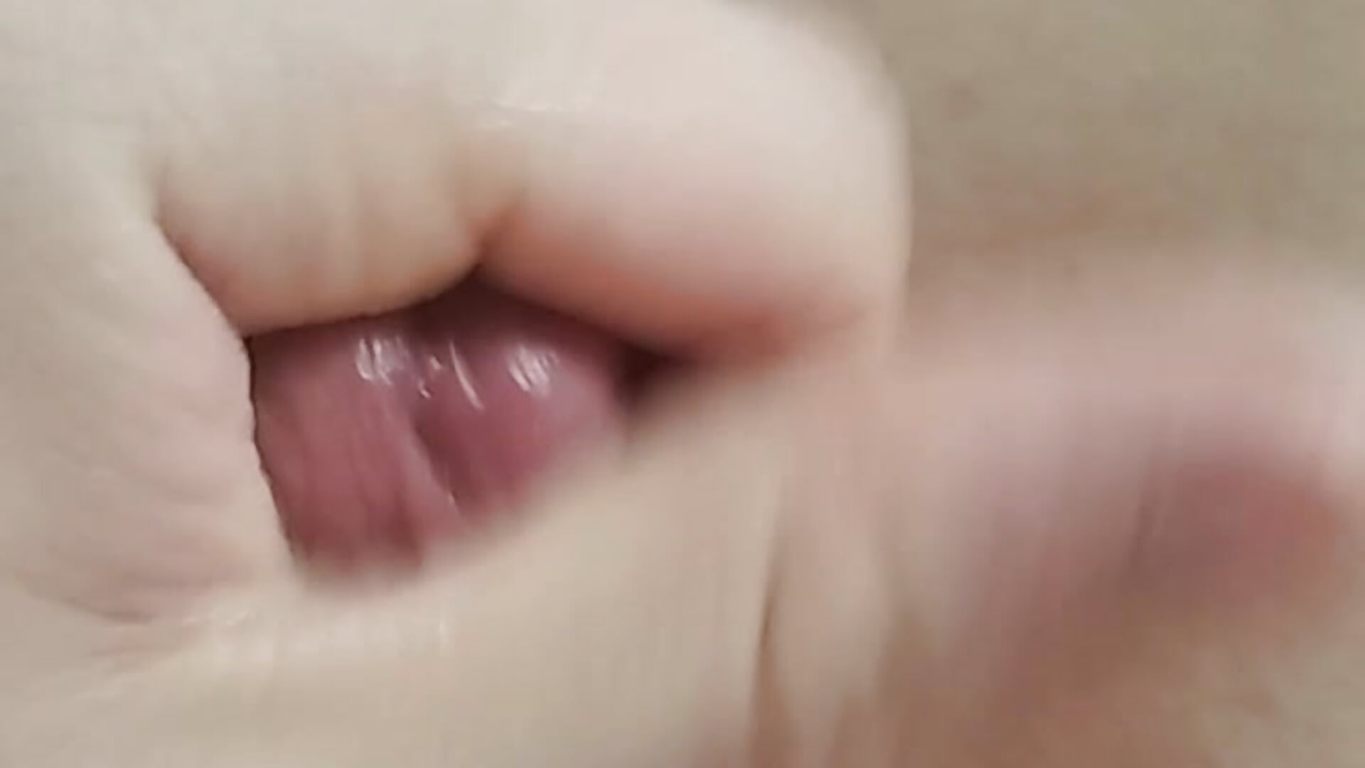 сum shot