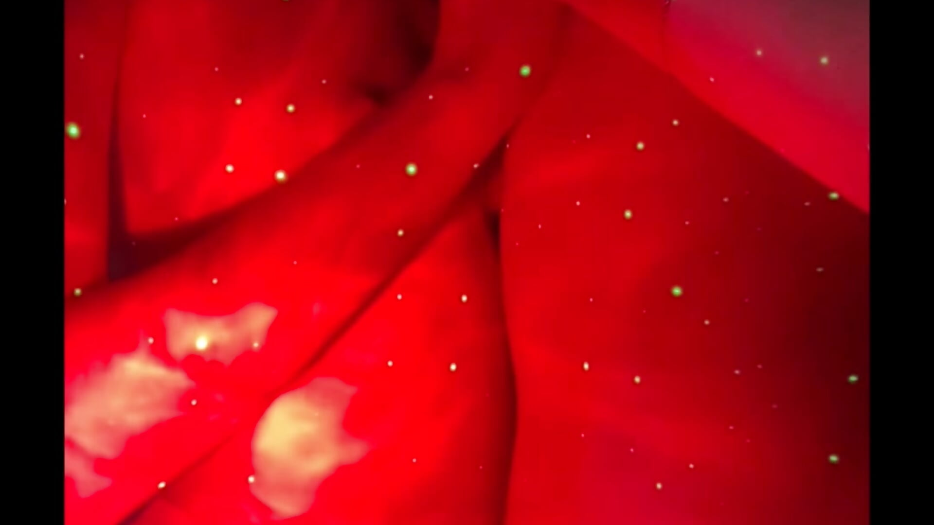 Lesb show💋❤️‍🔥❤️‍🔥❤️‍🔥❤️‍🔥 - video by NikaMur cam model