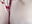 Wenns mal wieder zwischen den Beinen kribbelt - p6w_official 的视频