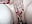 Such an extreme slut - p6w_official 的视频