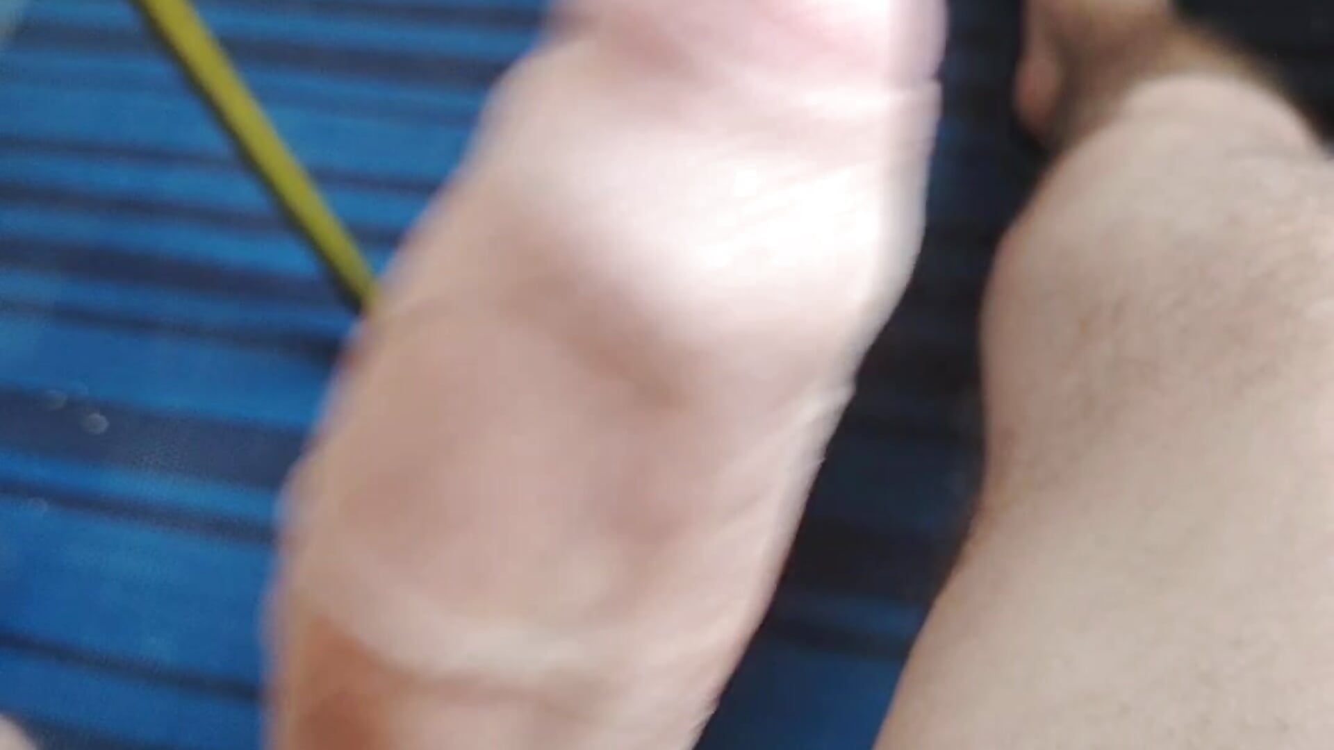 1000005454 - video van ciprianalex cam-model