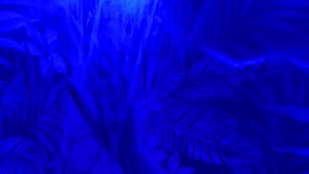 ))))))))))))))))))))))) - video by Lolitahot0 cam model