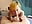 POV BlowJob - video by noisy_neighbors cam model