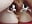 Squirting during sex in a missionary position - video by noisy_neighbors cam model