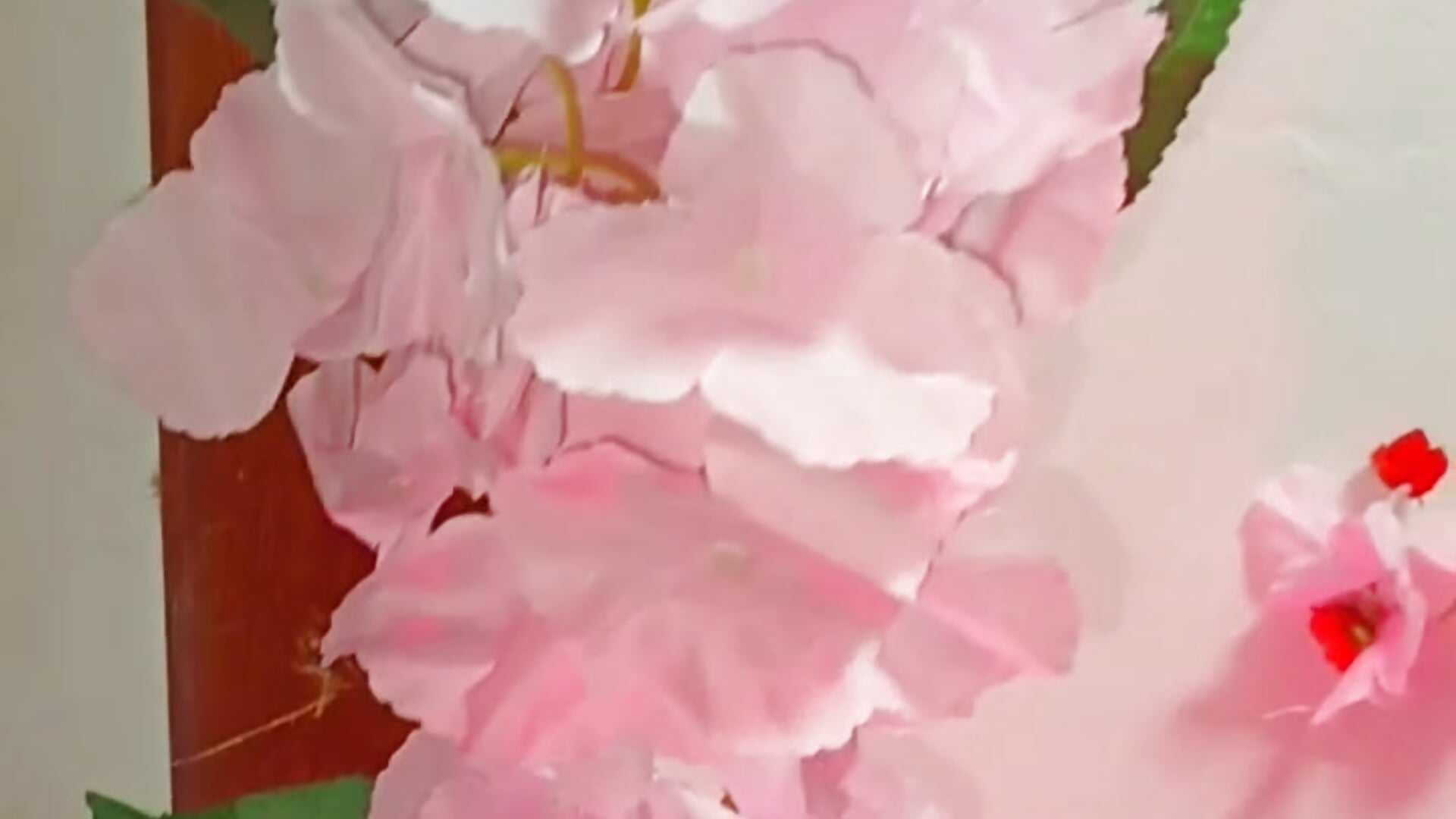 FLOR DE CEREZO - PaoL22主播的视频