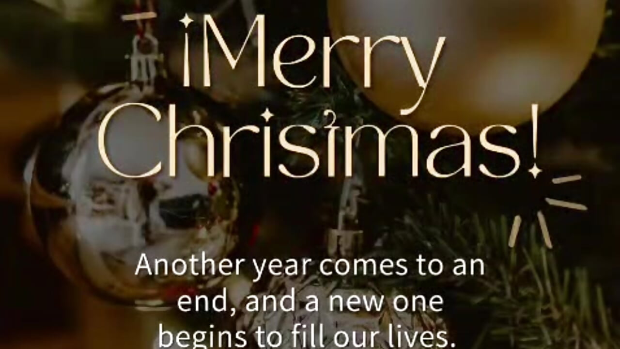 Merry Christmas 2025 - PaoL22主播的视频