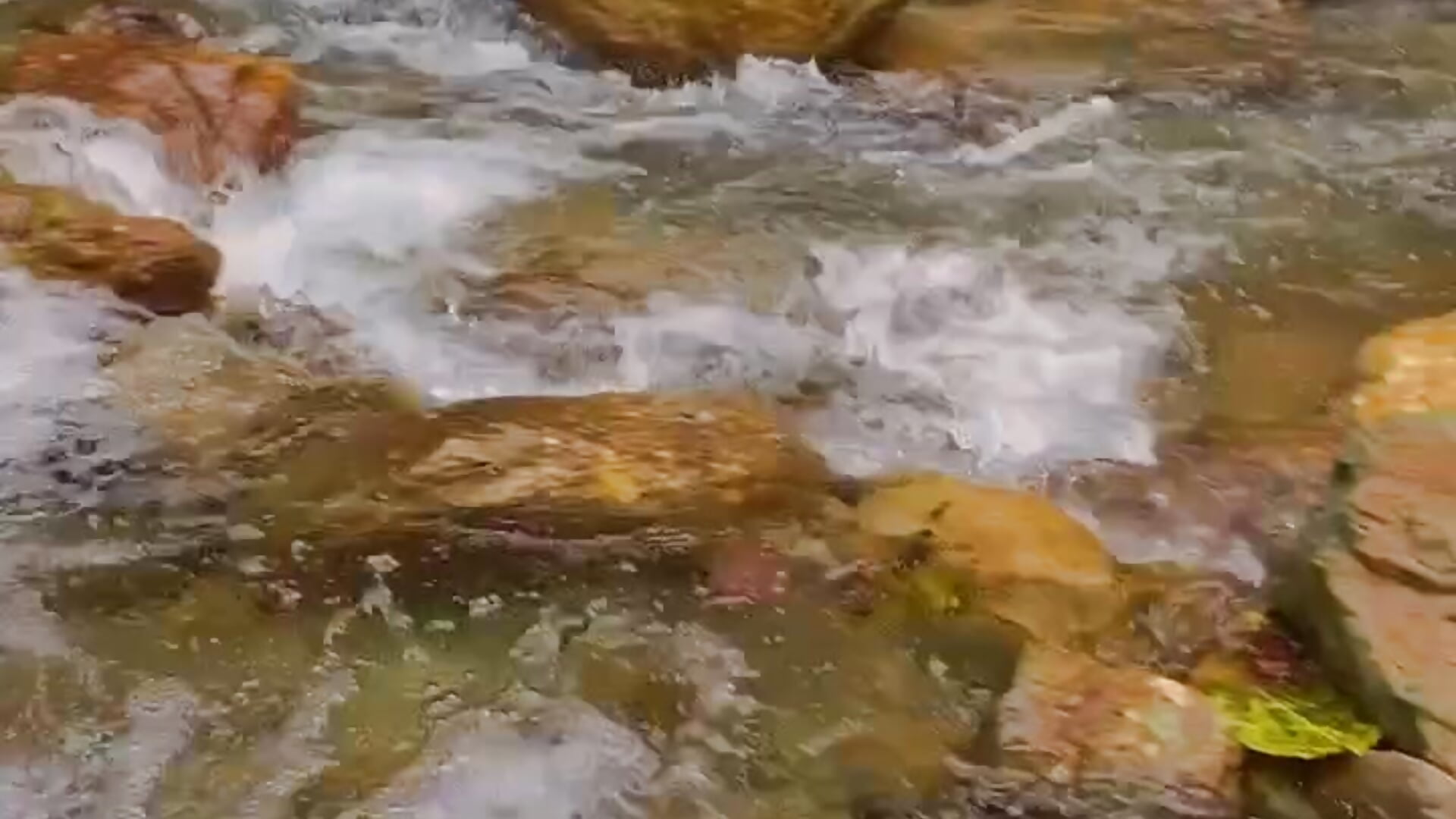 I love nature