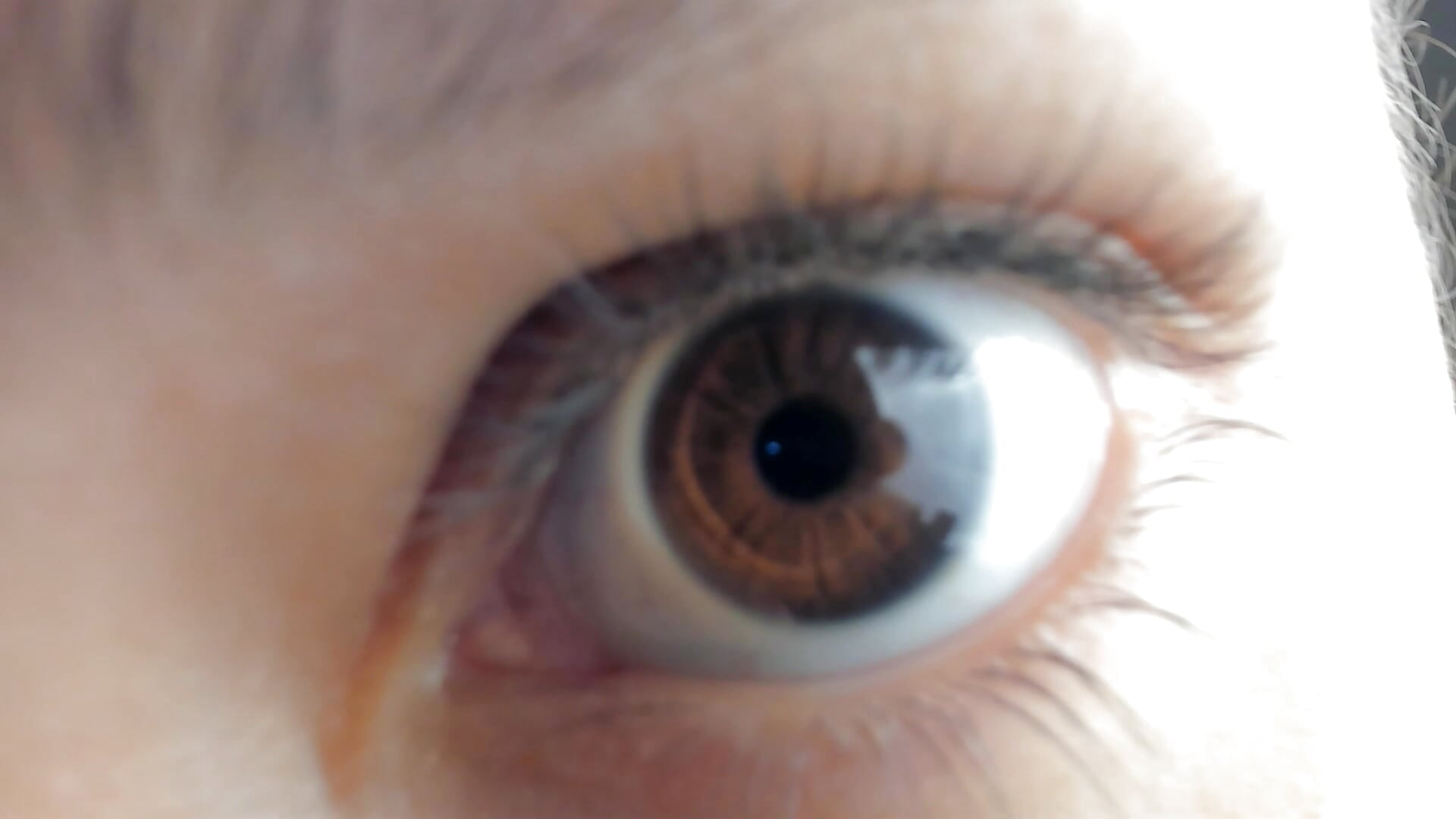 My eyes