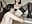 Hot sex in the kitchen (our first home made video) - video by david_katya cam model