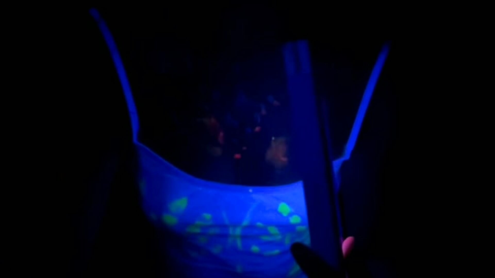 sexy neon