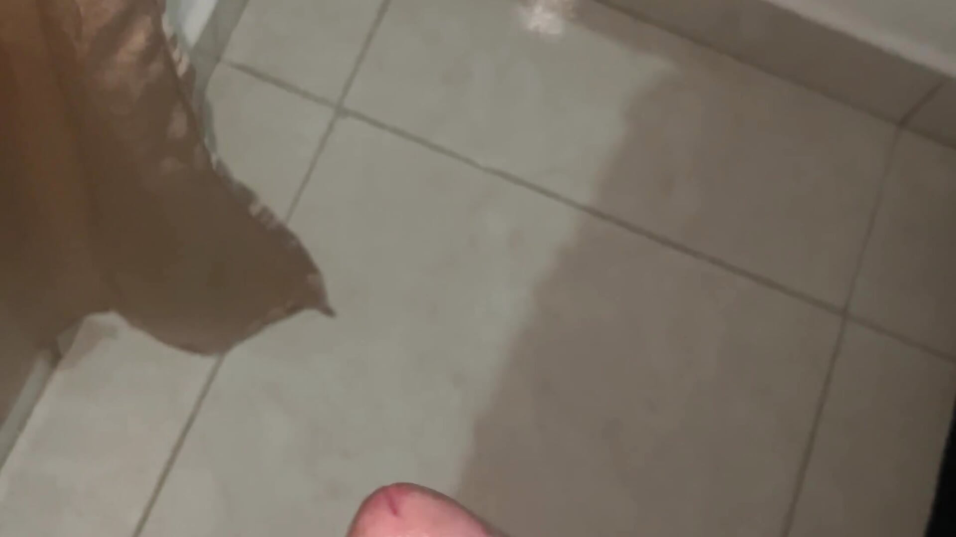 IMG_4911 - video by matius_gl cam model