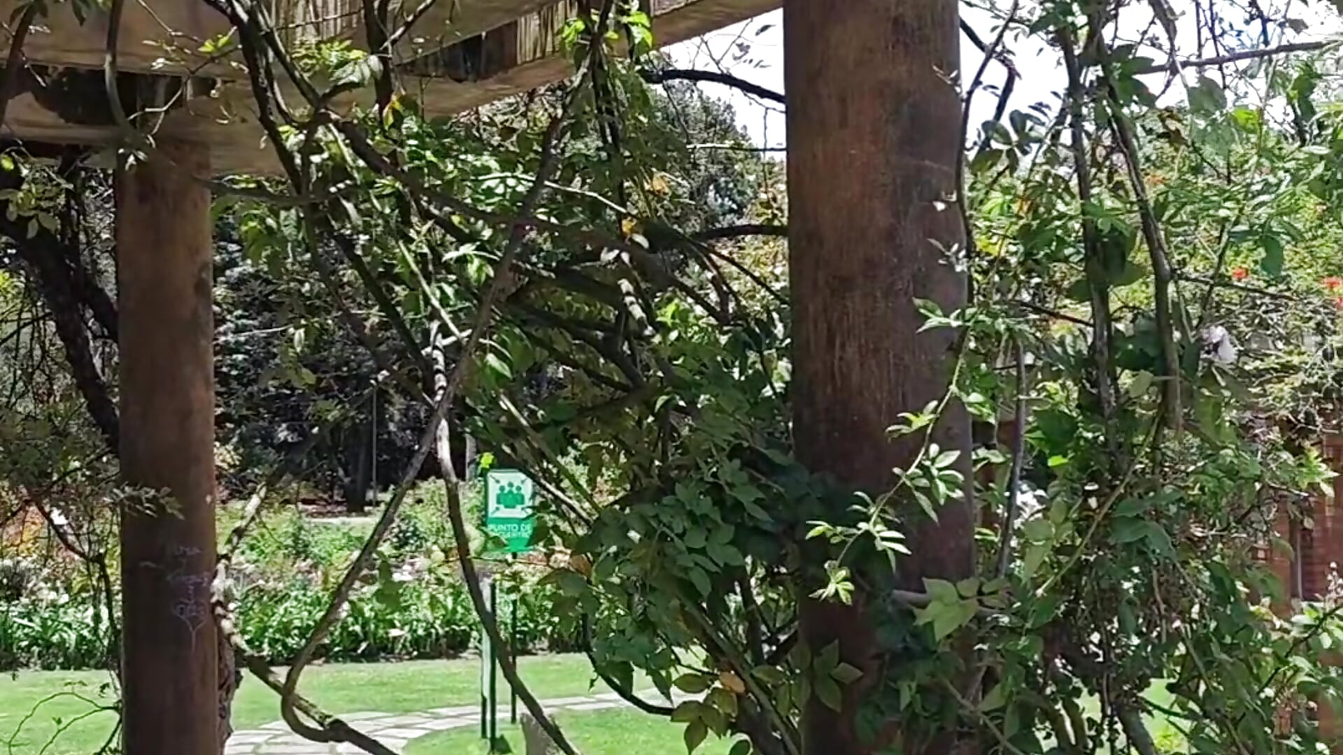 NEW!! 🌿🌺 Jardín Botánico Bogotá 🌸🌱 - video by DanyNova_Co cam model