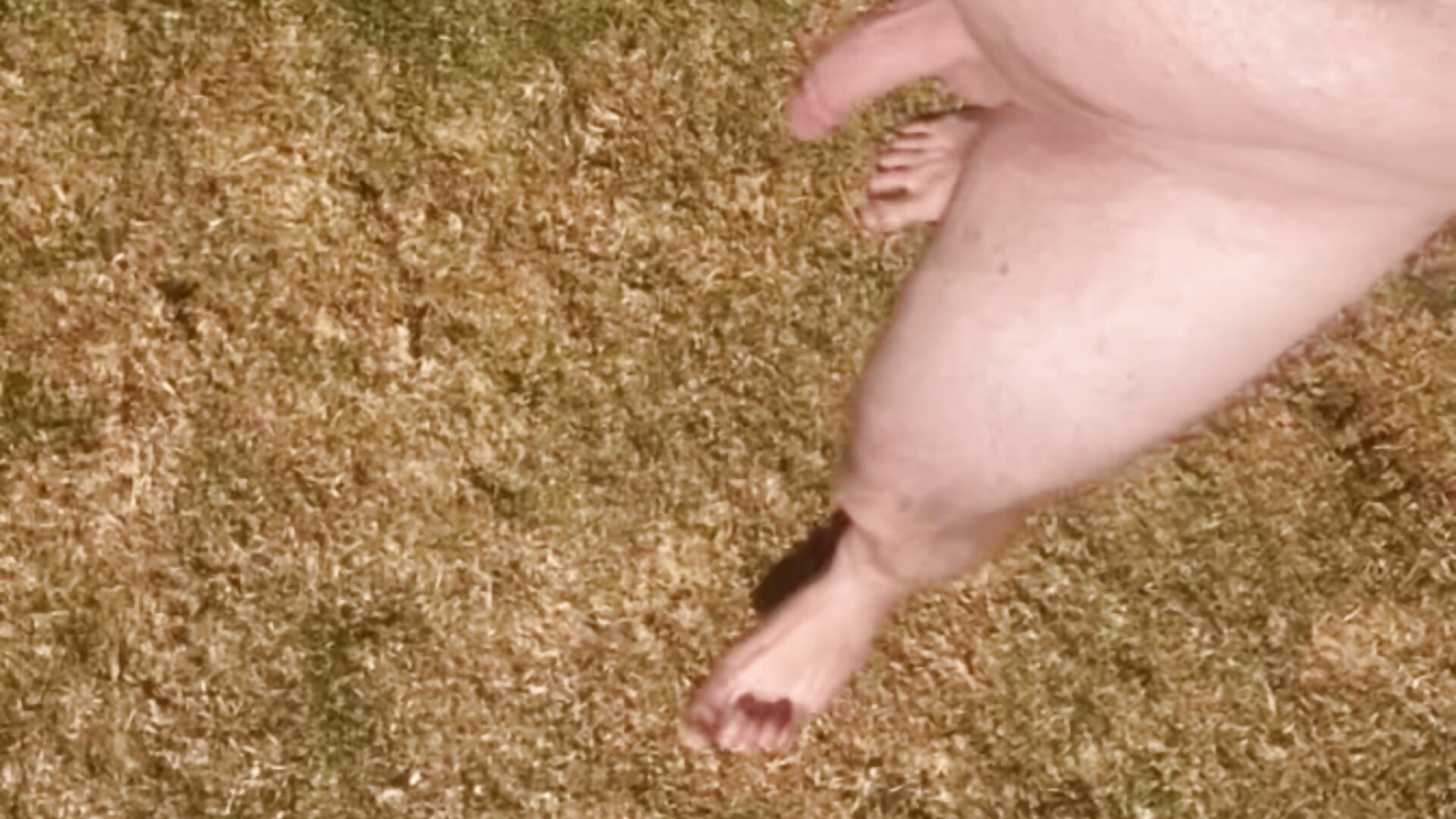 Sexy cock - video oleh model kamera sexycouple109