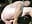 Would you put it in me? - vídeo de sexycouple109