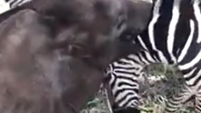 Wish ... ❤️  May there be more tenderness, beauty and kindness in your life ...❤️ - video by Snezhana cam model