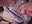 Touch💋 - Vídeo de Jackie_Swann