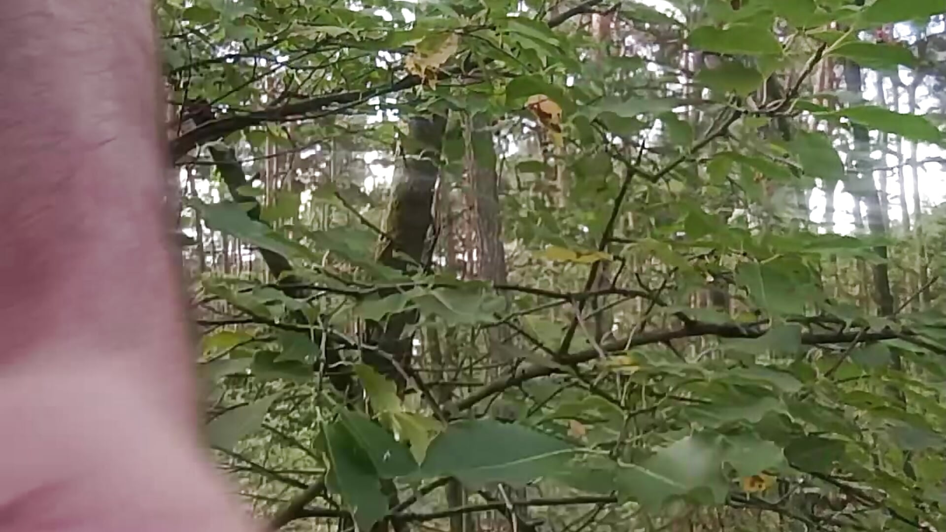 wystrzał w plenerze 💦 - відео від вебкаммоделі mezczyzna36