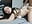 Face expression while my ass is pounded - video by Fitkitten cam model