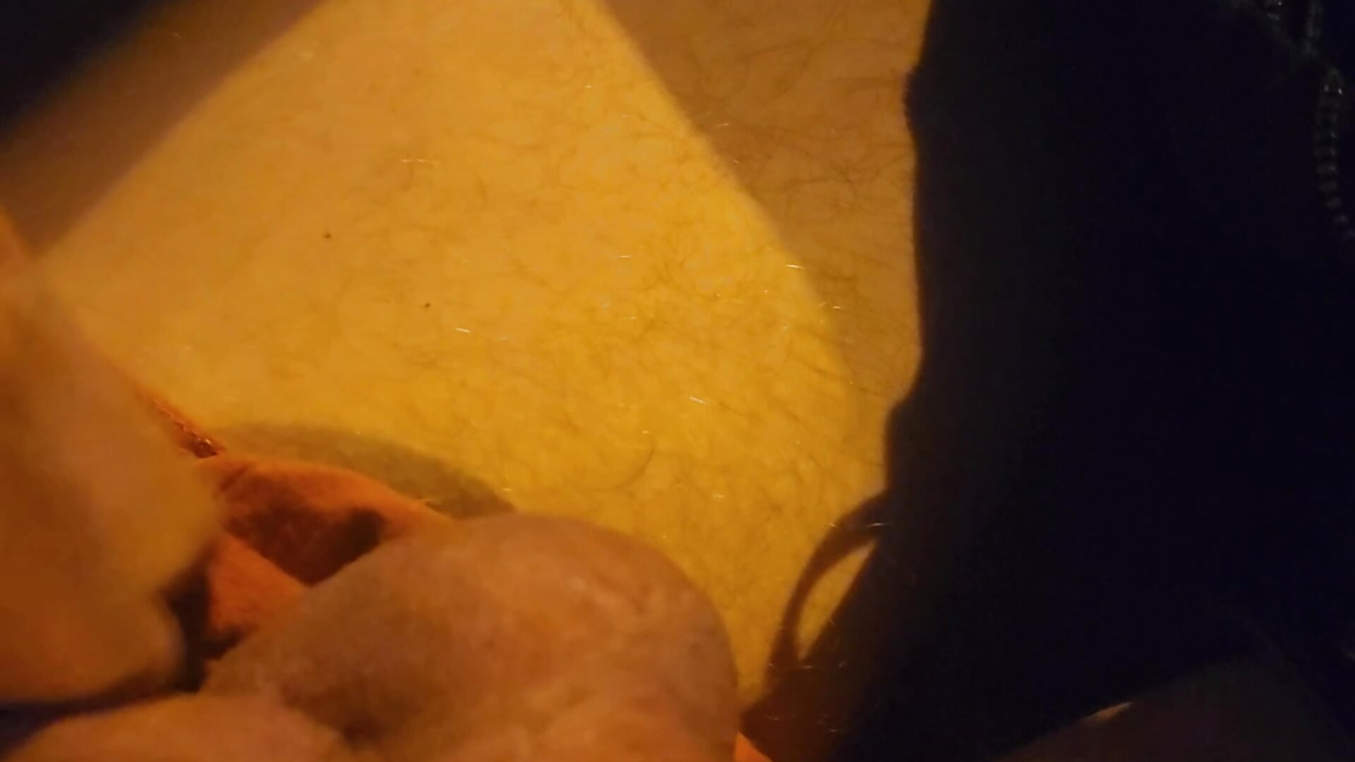 1000003221 – video af Mniceguy36