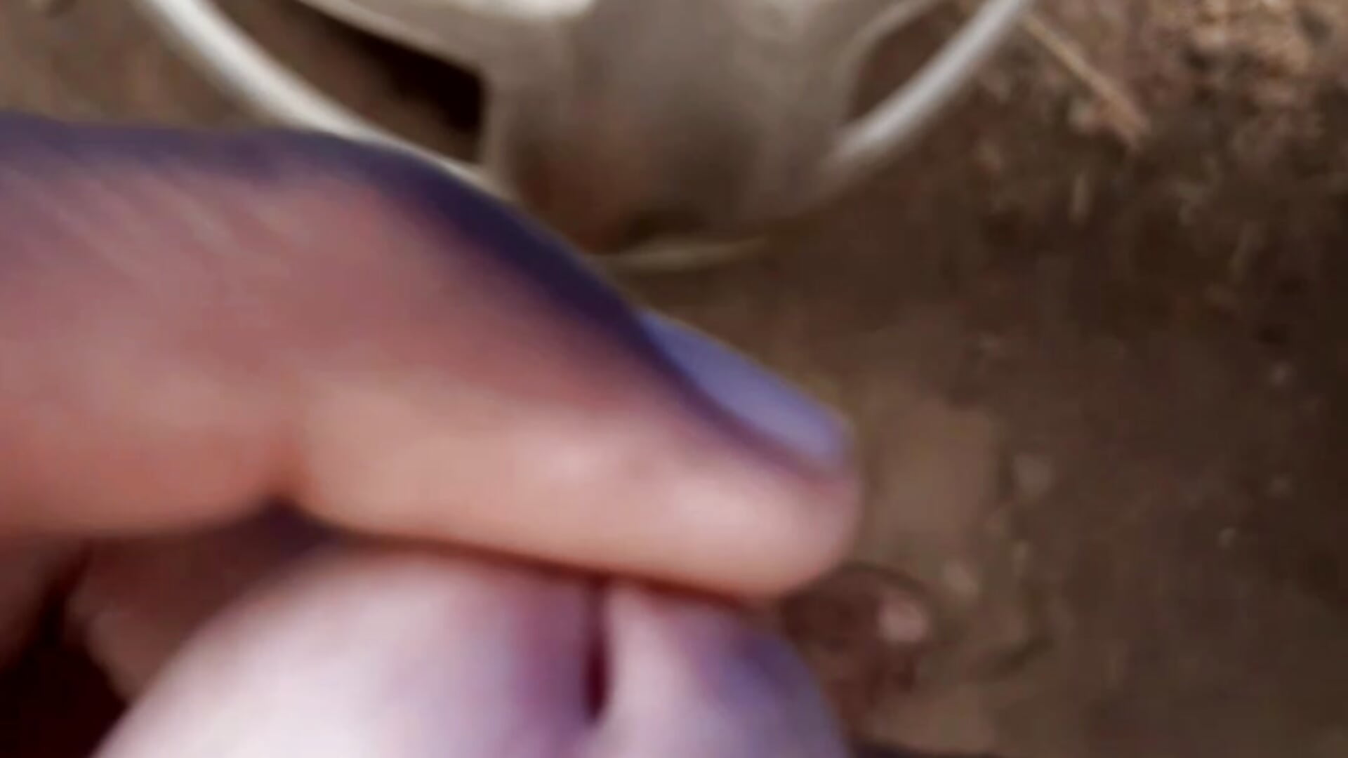 Coumshoot Big Cock Handjpb Indian Man Sex - βίντεο μοντέλου Burhade--