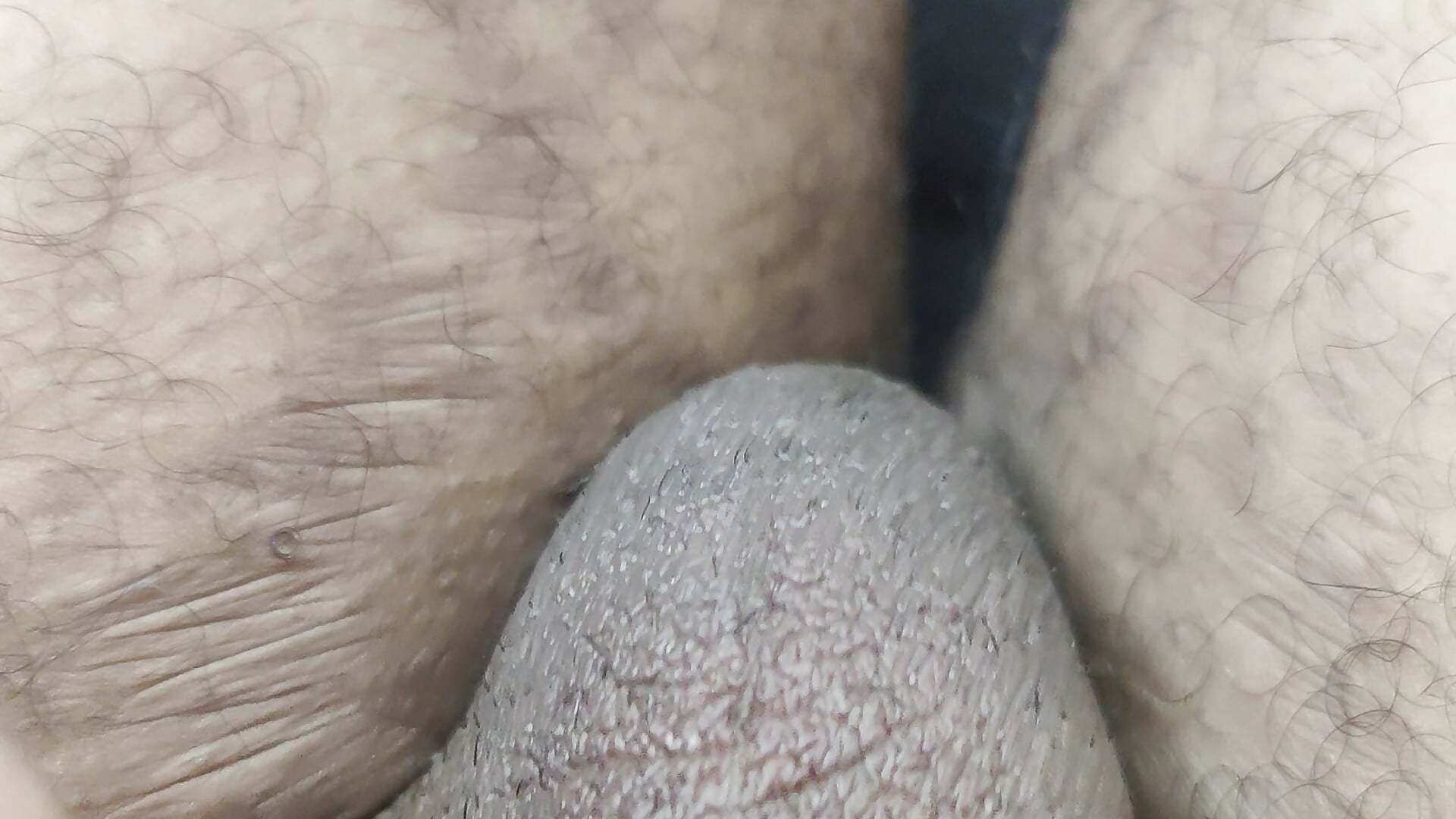 1000031619
