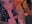 Compile suce gode doggy - Video von Chachou000 Cam-Model